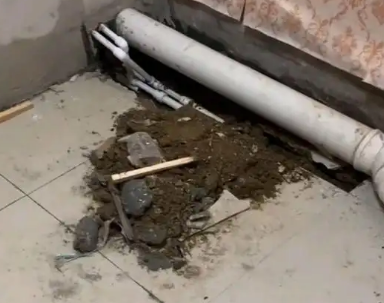贵池卫生间漏水检测哪家好